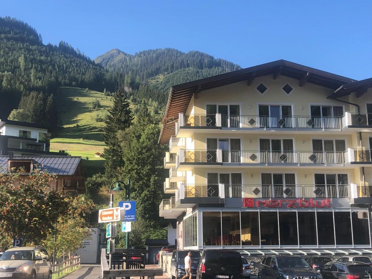 Hotel Herzblut - Joker Card Included In Summer Σάαλμπαχ-Χίντεργκλεμ Εξωτερικό φωτογραφία